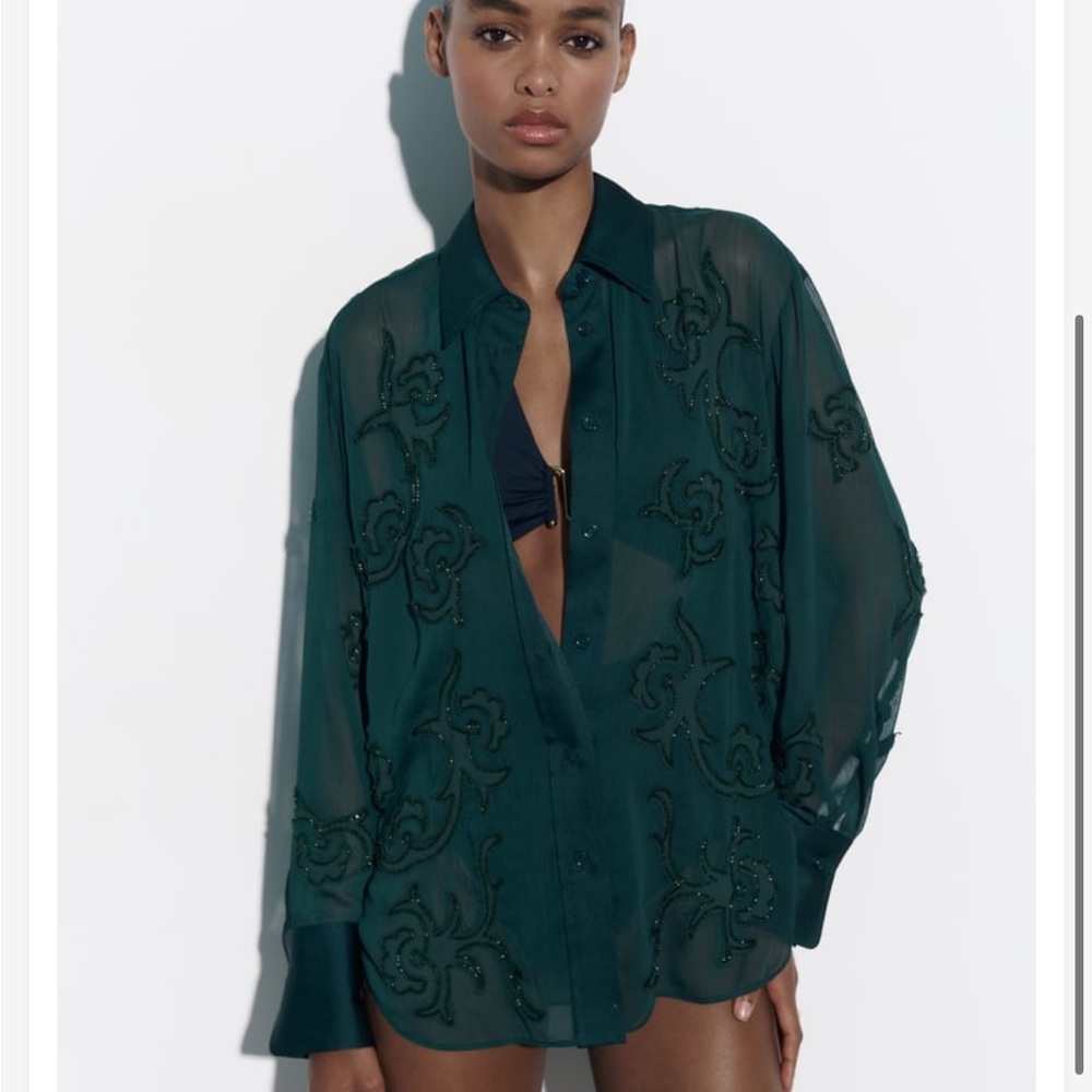 ZARA SEMI-SHEER EMBROIDERED BLOUSE